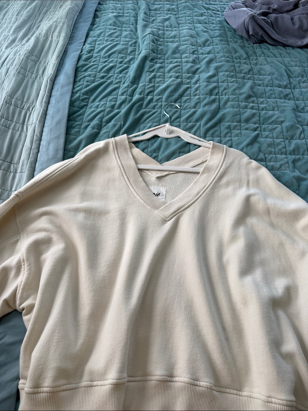 aerie Men's V-Neck Sweater in Cream